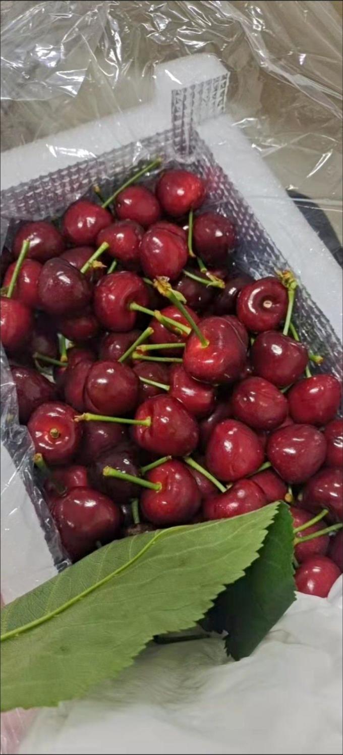 车厘子含铁量极高营养丰富口感鲜美快来品尝吧