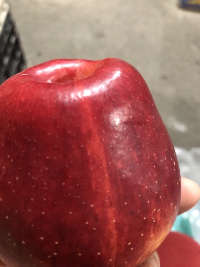 实惠粉粉的大苹果