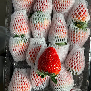 好吃的久久草莓分享，除了贵没毛病！