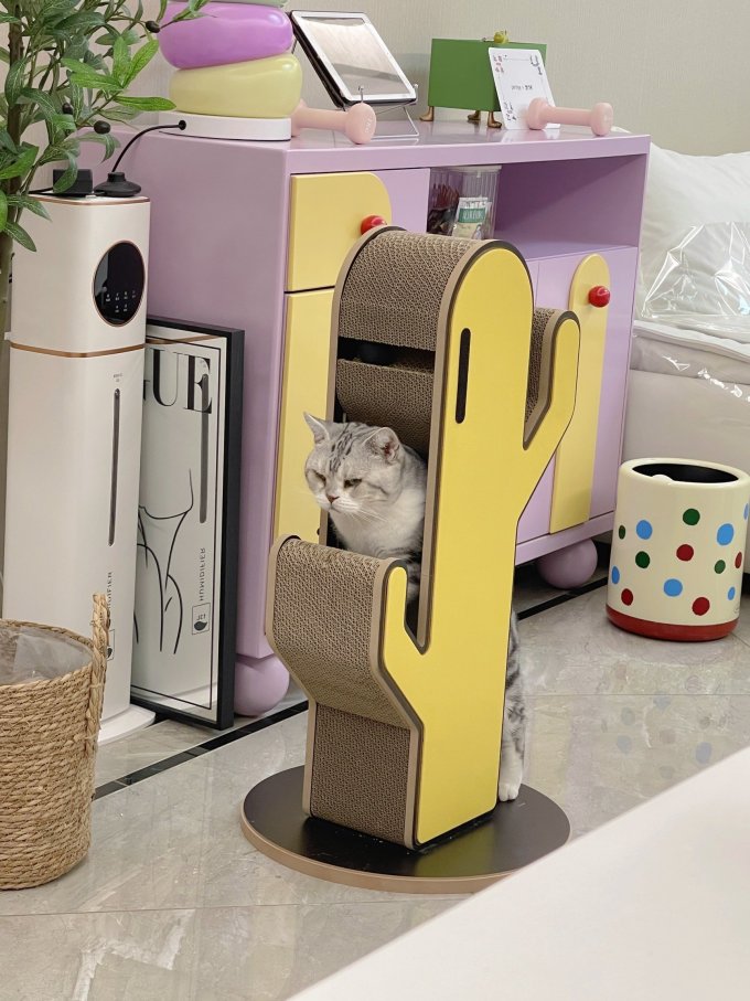 猫抓板