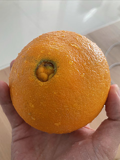 大又甜的橙子🍊