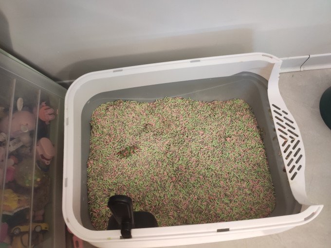 网易严选猫砂