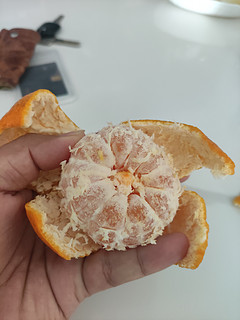 这应该是柑橘最后阶段了