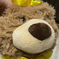 送给最爱的 TA，这款泰迪熊是最好的礼物!