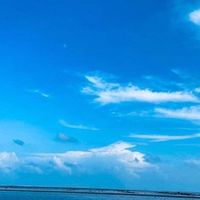 从「坚强」看人生的韧性