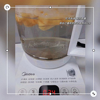 美的（Midea）养生壶MK-YS15E107
