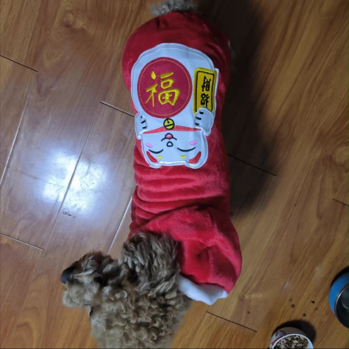 阿莫尔狗狗服饰