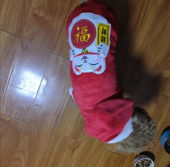阿莫尔狗狗服饰