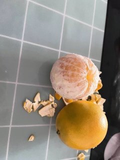 褚橙