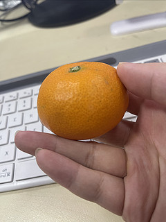 购后晒｜砂糖橘