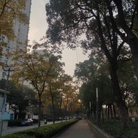 秋天已经离我们远去
