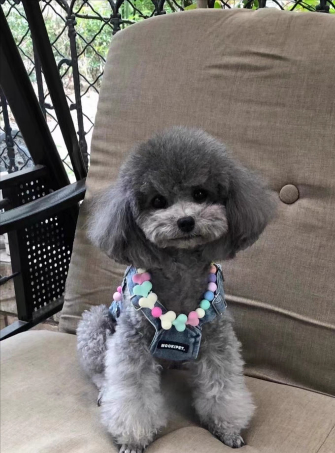 伊珊娜宠物沐浴露
