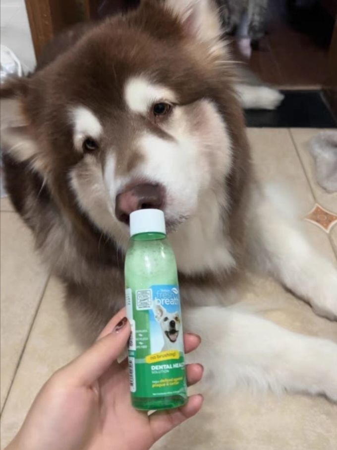 多美洁宠物湿巾