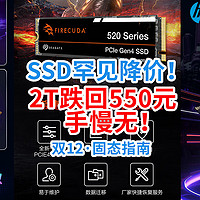 SSD终于跌了——2T罕见跌回550元，还是PCie4.0！固态涨价大环境抢到赚到！【双12·固态指南】