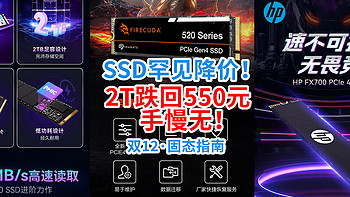 SSD终于跌了——2T罕见跌回550元，还是PCie4.0！固态涨价大环境抢到赚到！【双12·固态指南】