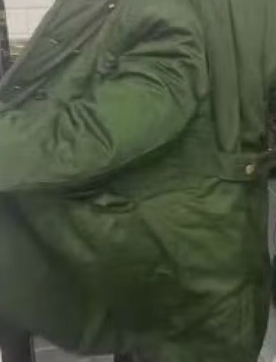 不是羽绒服买不起而是军大衣更有性价比