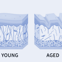 结构性抗老的秘密武器！Olandu引领胶原自生新革命