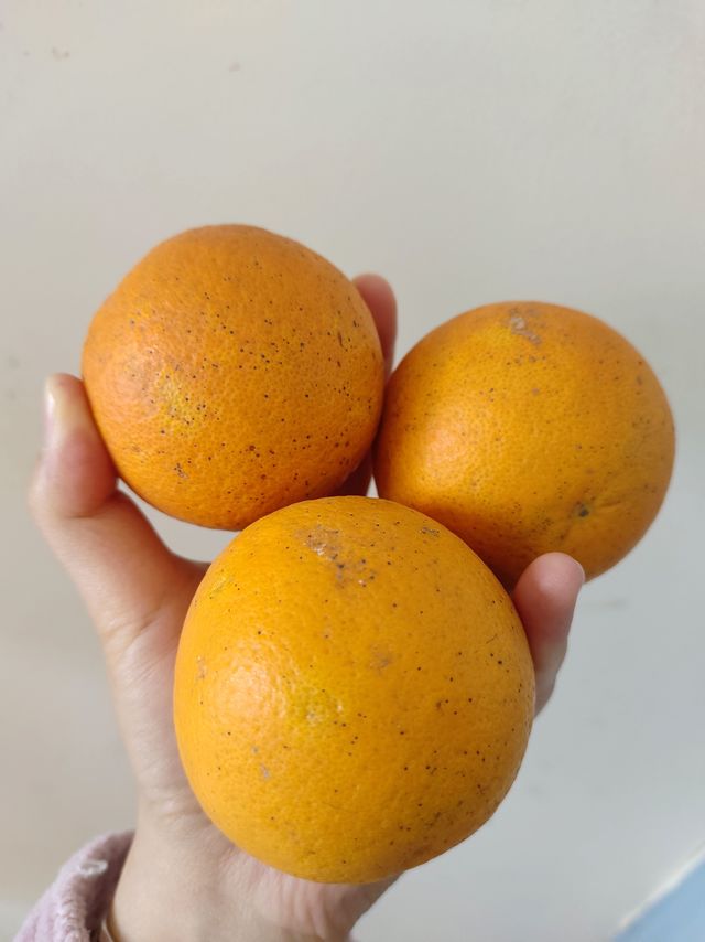 又到吃橙子🍊的季节了~