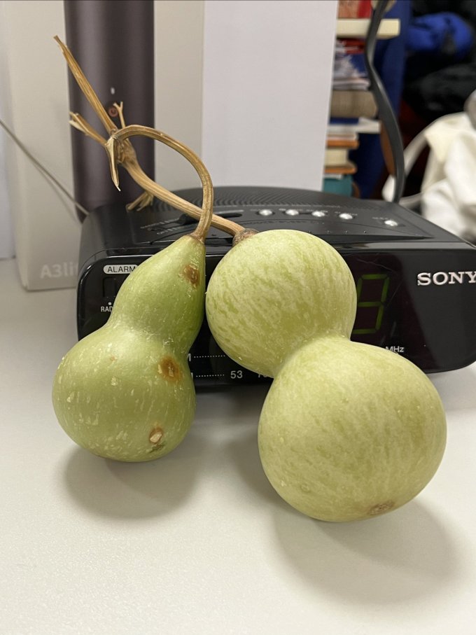 智扣装饰摆件