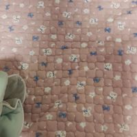 52元拿下洁丽雅牛奶绒