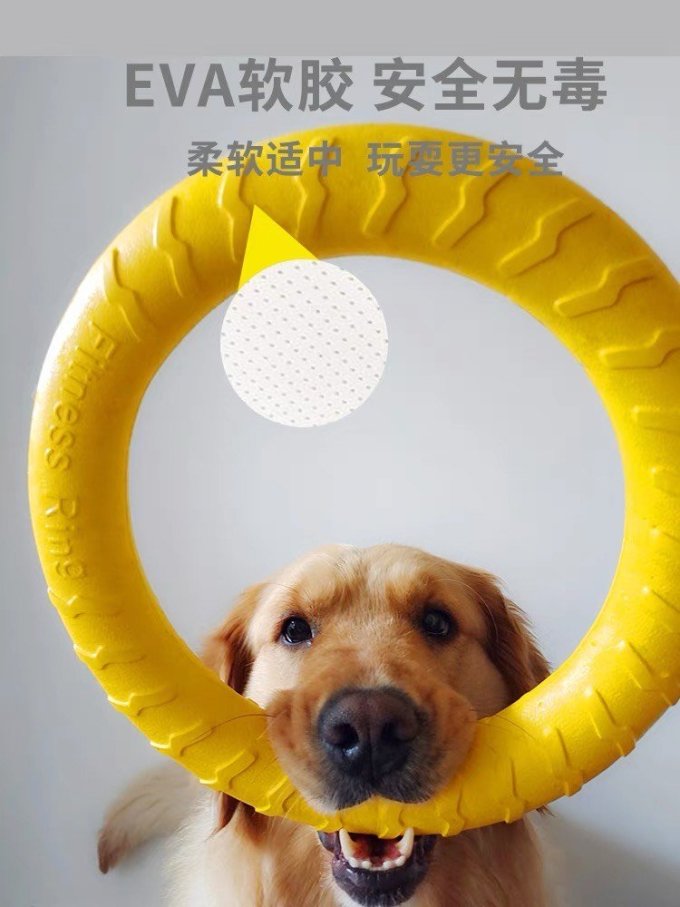 舒拜猫玩具