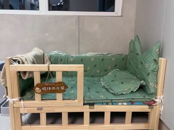 猫狗窝