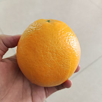这款橙子，不赖！