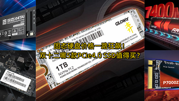 肥宅日常 篇一百零八：固态硬盘价格一路狂飙！双十二哪5款PCIe4.0 SSD值得买？ 