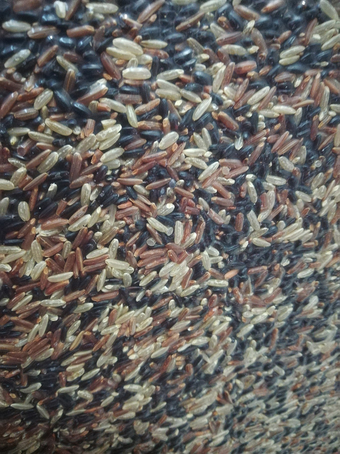 十月稻田杂粮