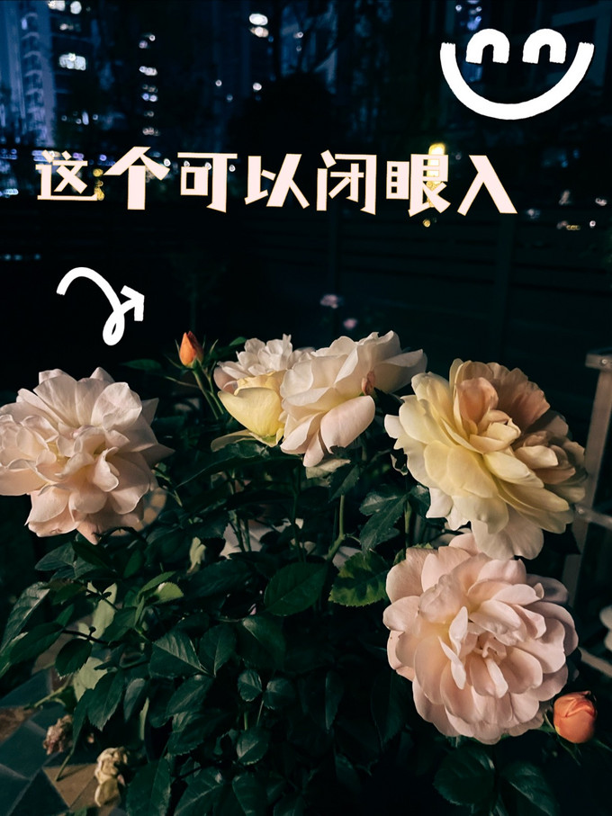 鲜花绿植