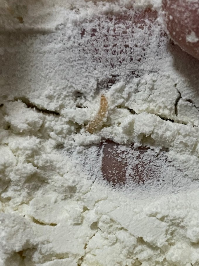 晋欣源面粉