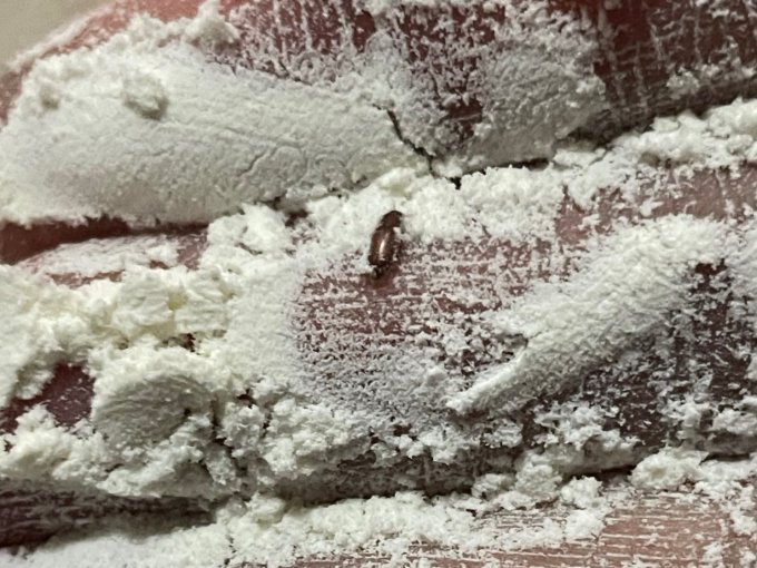 晋欣源面粉