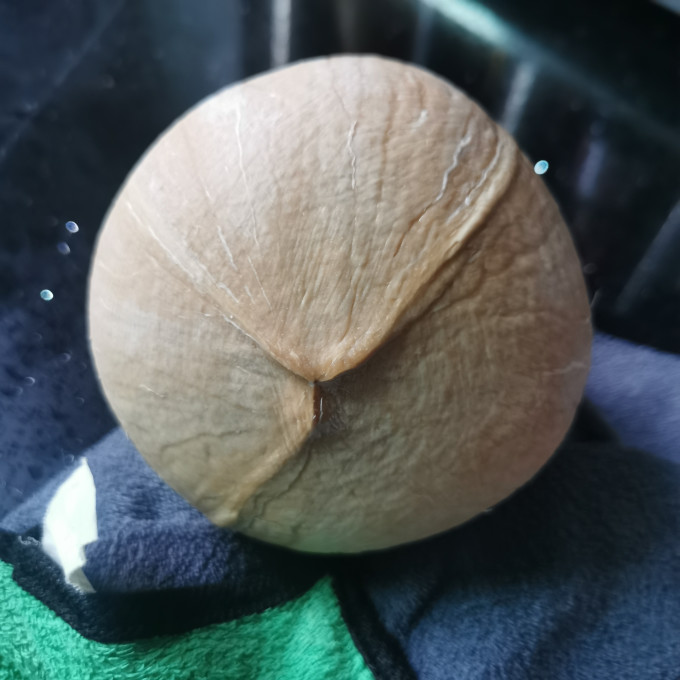 海姑娘纯果汁