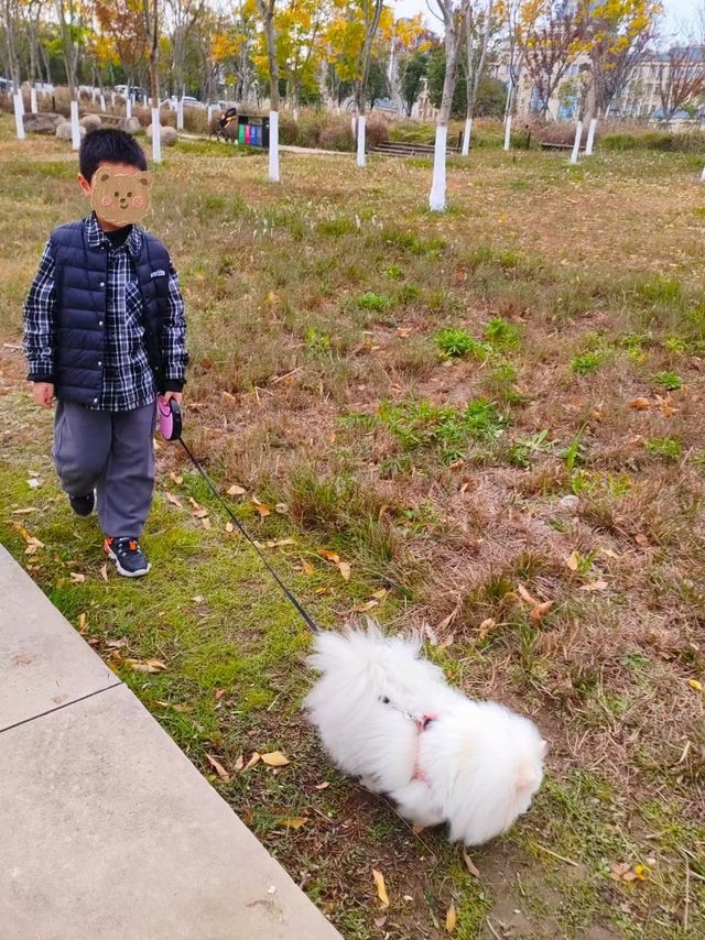 顽皮鲜选真鲜肉粮，开袋就是满满肉香