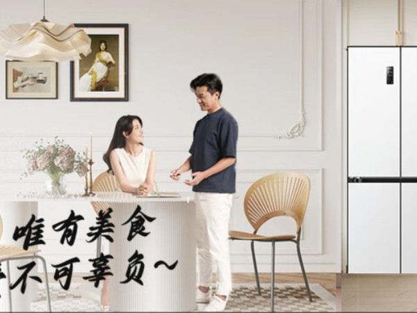 【避坑指南】嵌入冰箱首选，完美嵌入，超划算