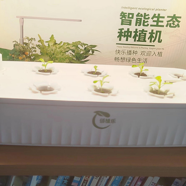 种植生活中的小美好