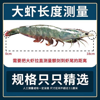 冰鲜虾，16—18cm