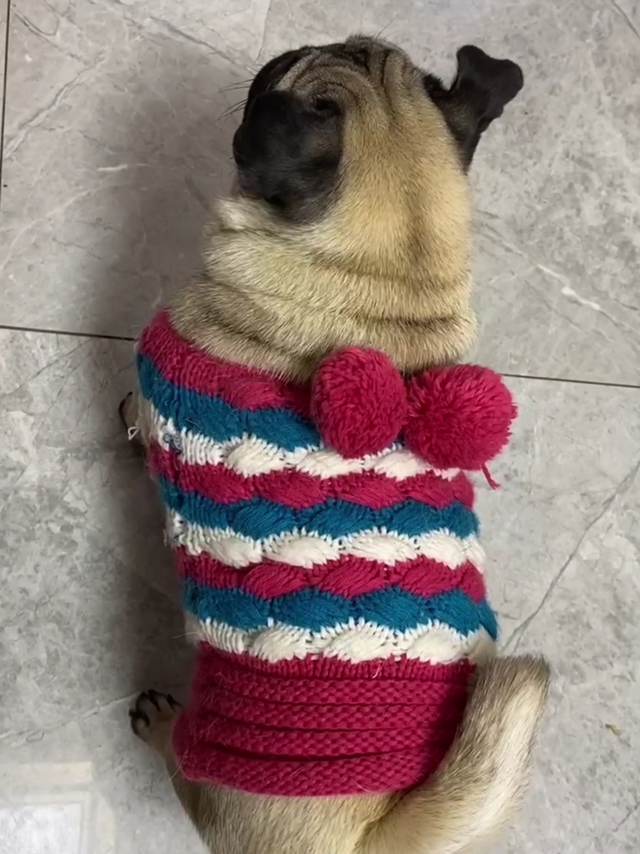 没事就想逗逗你