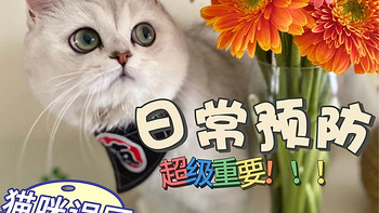 养猫误区 | 耳螨光用洗耳液就会管用？