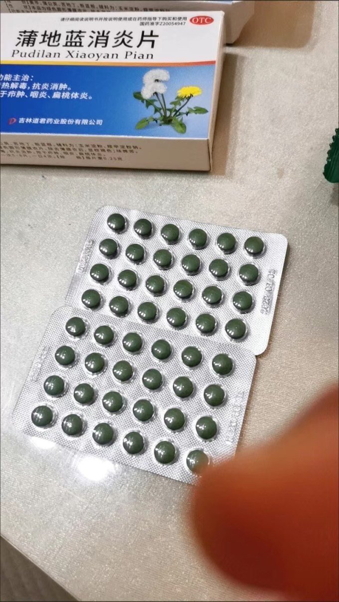 方盛呼吸系统