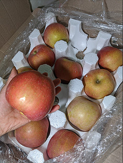 新疆阿克苏苹果：口感鲜美，快来品尝！