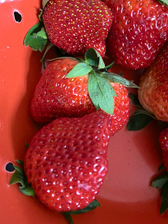 冬季吃草莓