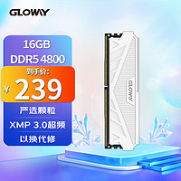 光威（Gloway）16GBDDR54800台式机内存条天策系列
