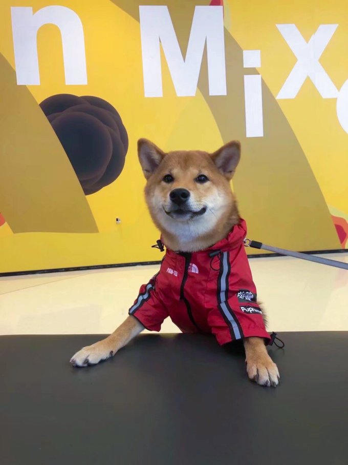 狗狗服饰