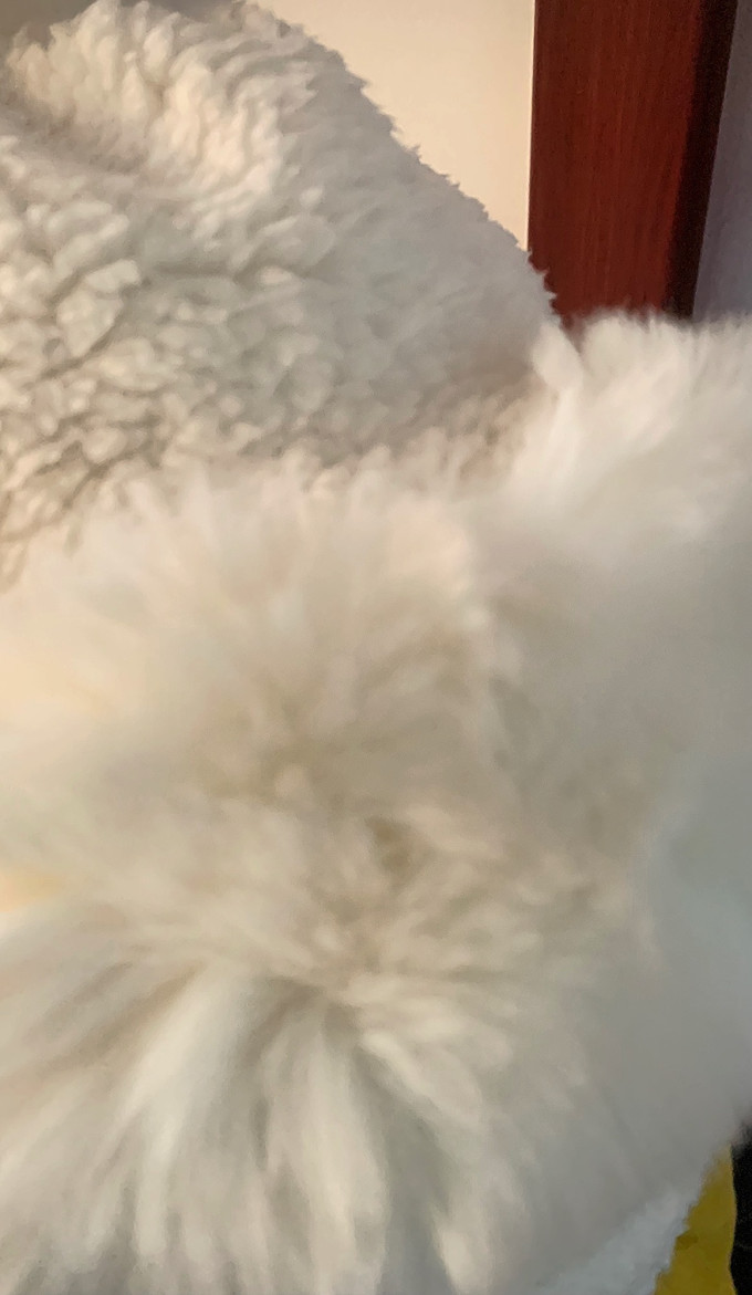 惠寻运动配件