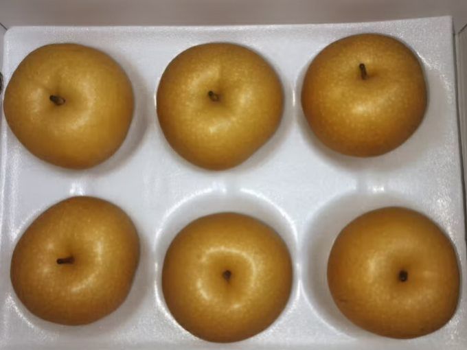 水果之王奇异果