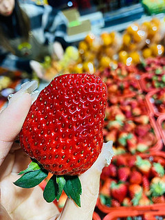 冬季养生｜快来吃红颜草莓吧，每天吃草莓，补充维C和膳食纤维哦