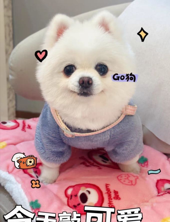 嘟萌哆猫狗窝