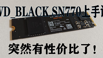 彩虹糖的评测专栏 篇四：似乎性价比又回来了！WD_BLACK SN770上手评测