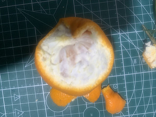 冬天又开始吃橘子了